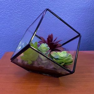 Fake Succulent Plant; Encased in Glass!